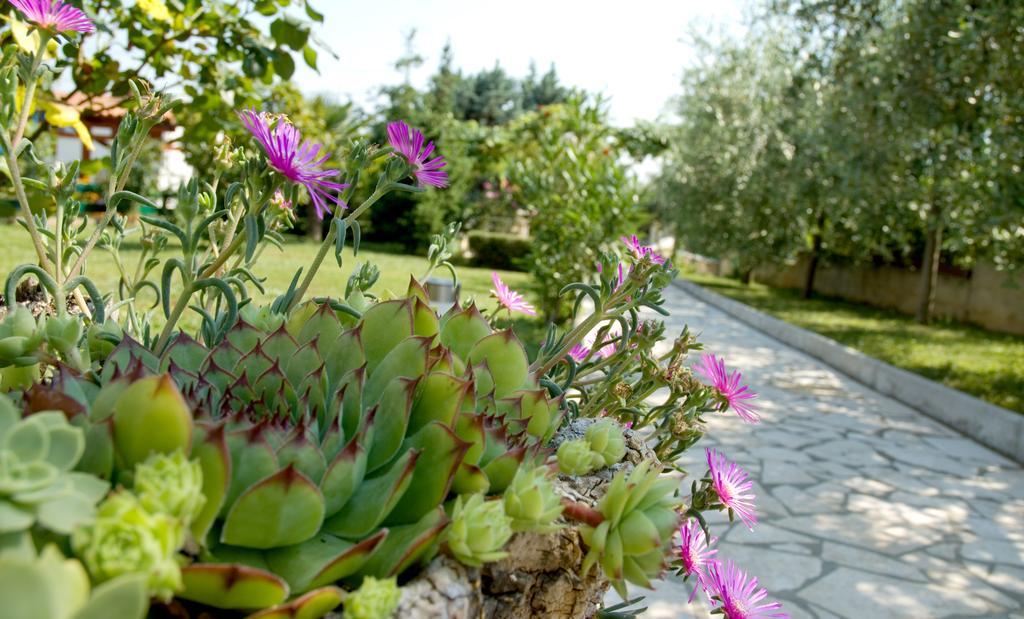 Holiday Home Magnolia Tar-Vabriga Quarto foto